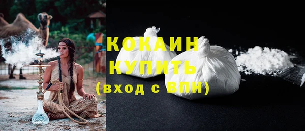 стаф Аркадак