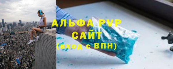 стаф Аркадак