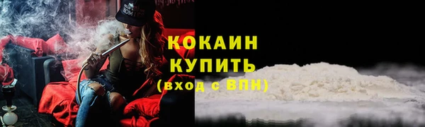 стаф Аркадак