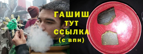 стаф Аркадак