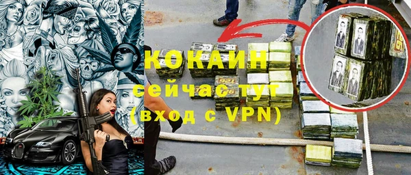 стаф Аркадак
