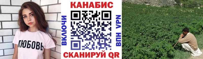 Шишки марихуана индика  мега зеркало  Мариинский Посад  площадка состав  наркотики 